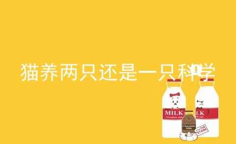 猫养两只还是一只科学