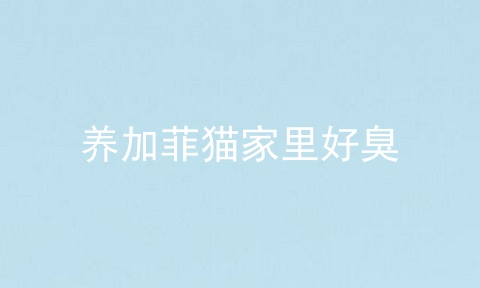 养加菲猫家里好臭