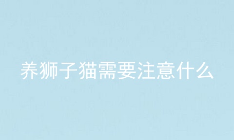 养狮子猫需要注意什么