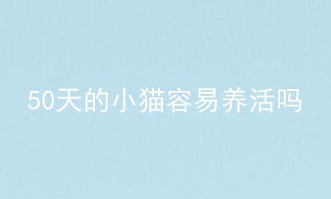 50天的小猫容易养活吗