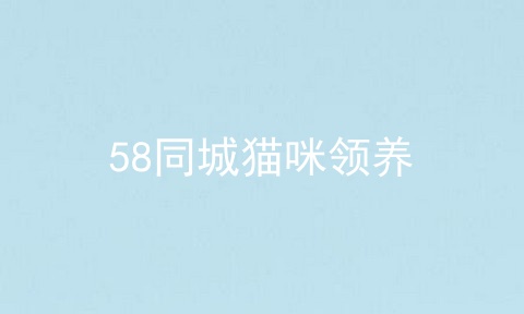 58同城猫咪领养