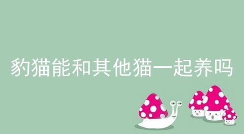豹猫能和其他猫一起养吗