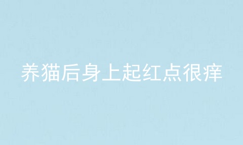 养猫后身上起红点很痒