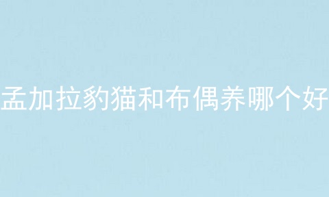 孟加拉豹猫和布偶养哪个好