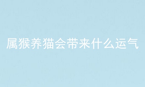 属猴养猫会带来什么运气
