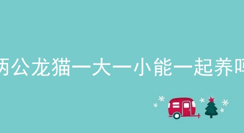 两公龙猫一大一小能一起养吗