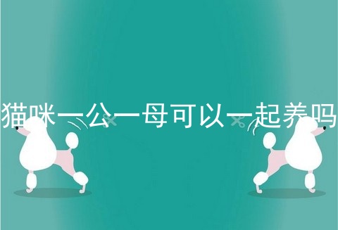 猫咪一公一母可以一起养吗