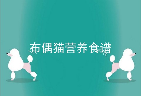 布偶猫营养食谱