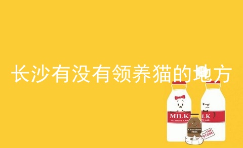 长沙有没有领养猫的地方