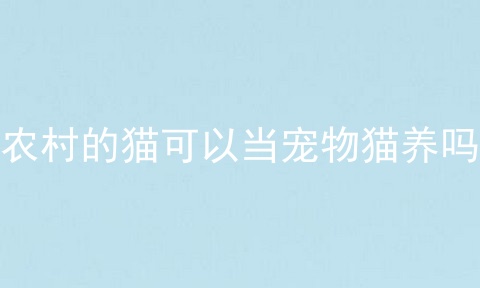农村的猫可以当宠物猫养吗