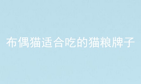 布偶猫适合吃的猫粮牌子