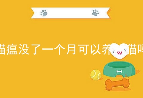 猫瘟没了一个月可以养新猫吗