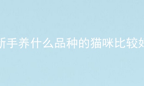新手养什么品种的猫咪比较好