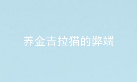 养金吉拉猫的弊端