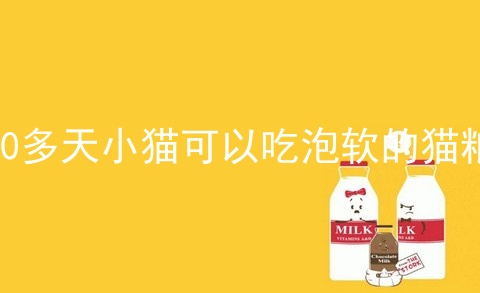 20多天小猫可以吃泡软的猫粮