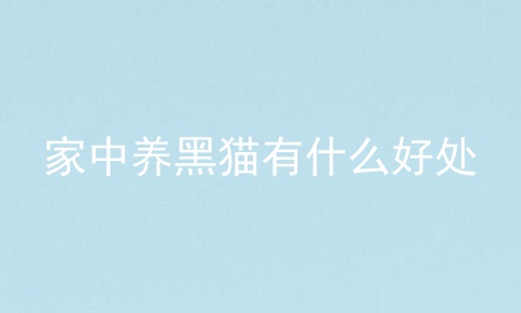 家中养黑猫有什么好处
