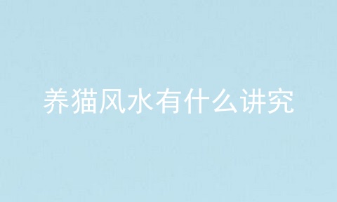 养猫风水有什么讲究