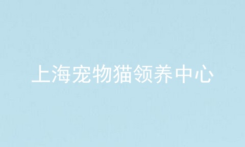 上海宠物猫领养中心