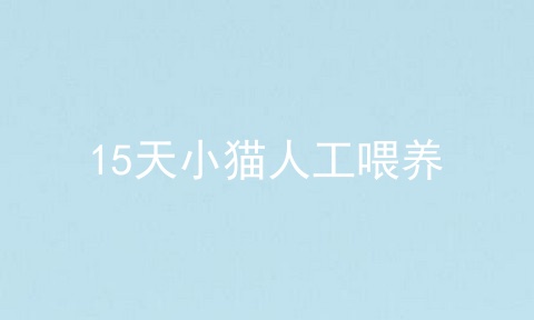 15天小猫人工喂养