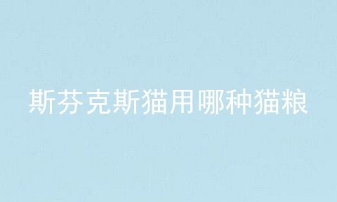 斯芬克斯猫用哪种猫粮