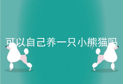 可以自己养一只小熊猫吗