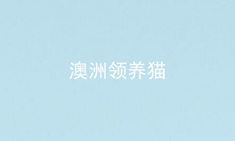 澳洲领养猫