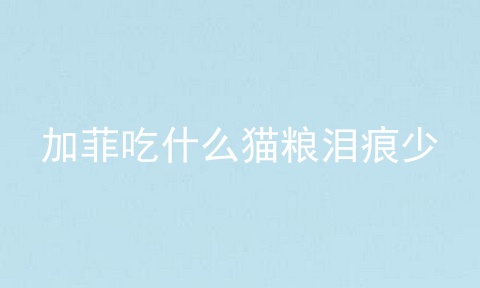 加菲吃什么猫粮泪痕少