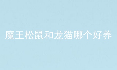 魔王松鼠和龙猫哪个好养
