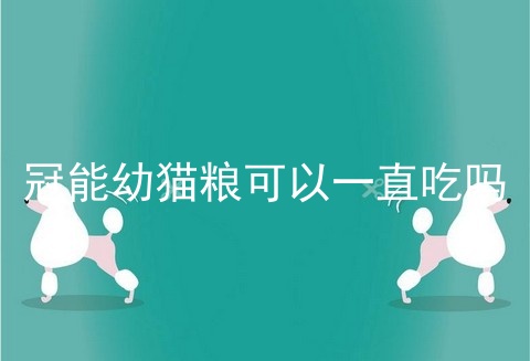 冠能幼猫粮可以一直吃吗