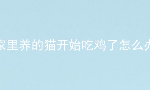 家里养的猫开始吃鸡了怎么办