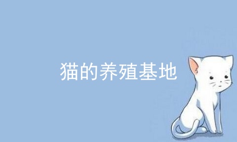 猫的养殖基地