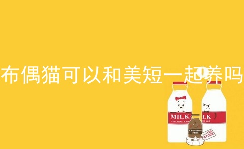 布偶猫可以和美短一起养吗