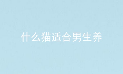 什么猫适合男生养