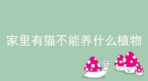 家里有猫不能养什么植物