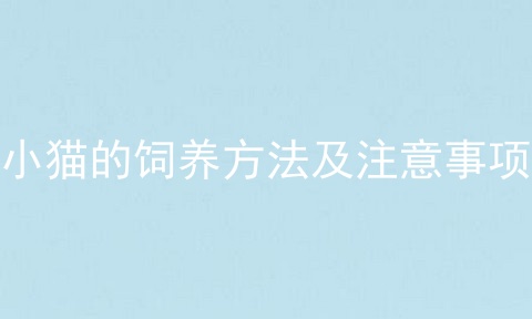 小猫的饲养方法及注意事项