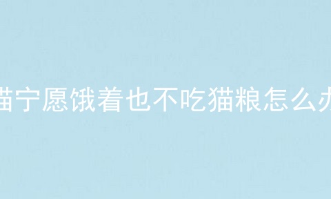 猫宁愿饿着也不吃猫粮怎么办