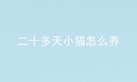 二十多天小猫怎么养