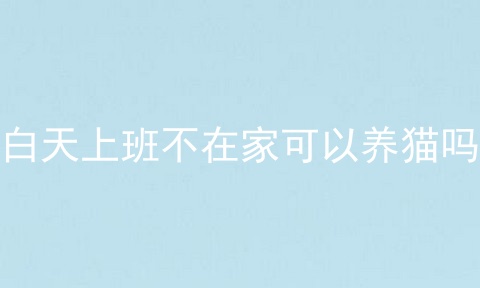 白天上班不在家可以养猫吗