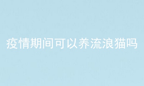 疫情期间可以养流浪猫吗
