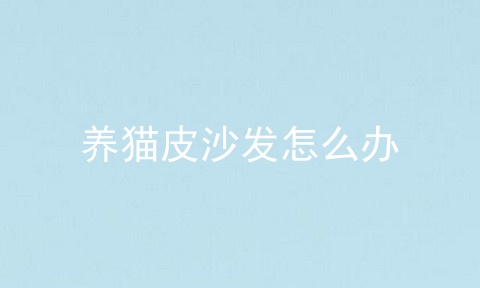 养猫皮沙发怎么办