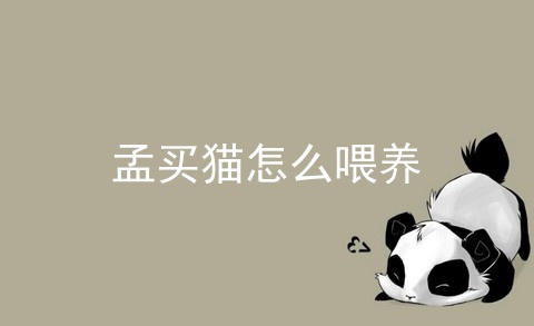 孟买猫怎么喂养