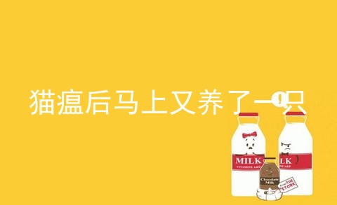 猫瘟后马上又养了一只