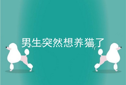 男生突然想养猫了