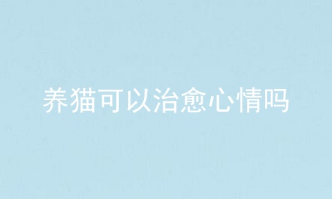 养猫可以治愈心情吗