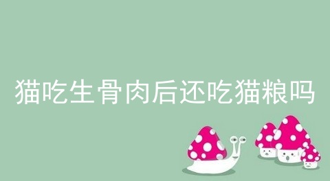 猫吃生骨肉后还吃猫粮吗