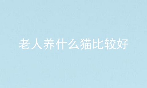 老人养什么猫比较好