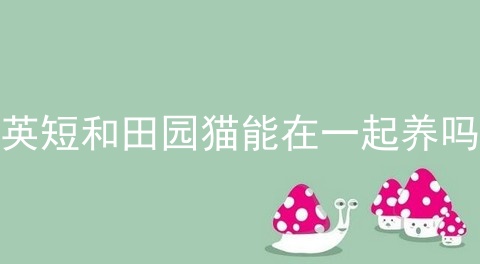 <a href=/cat/13.html target=_blank class=infotextkey>英短</a>和田园猫能在一起养吗