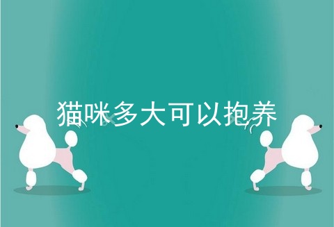 猫咪多大可以抱养