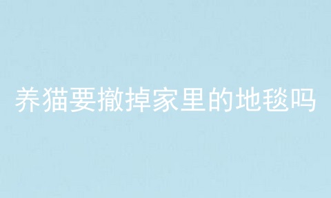 养猫要撤掉家里的地毯吗