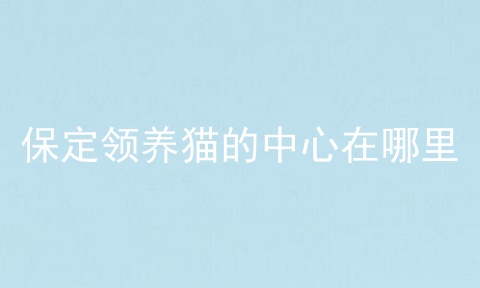 保定领养猫的中心在哪里